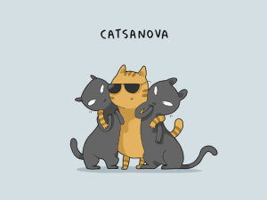 catsanova