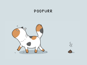 poopurr